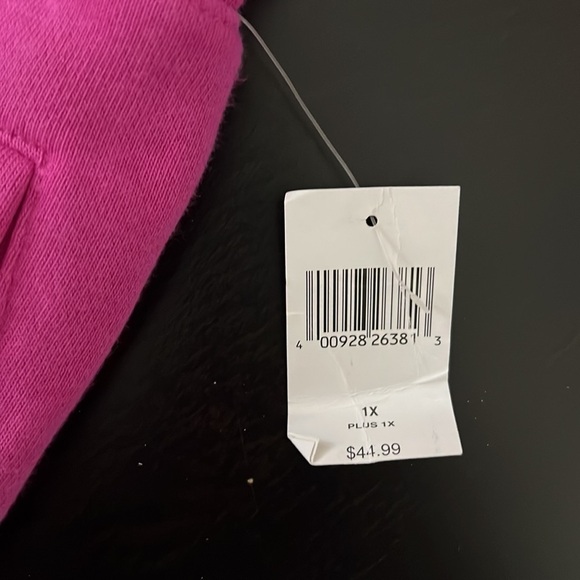 Disneyland plus size joggers - Picture 3 of 5